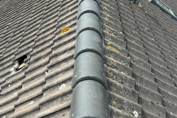 Image00013
